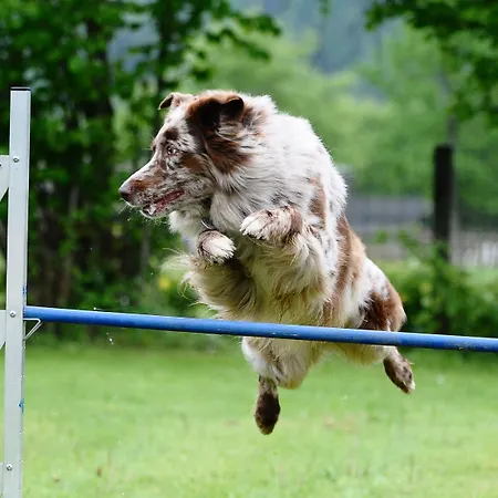 Bed & Breakfast Rosslwirt-rast 3*