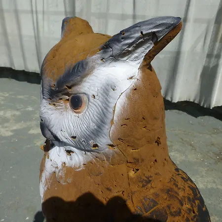 Bed & Breakfast Rosslwirt-rast Strass im Attergau