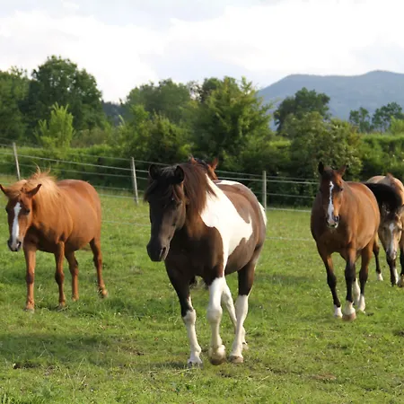 Bed & Breakfast Rosslwirt-rast 3*