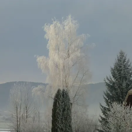 Rosslwirt-rast ベッド・アンド・ブレックファスト