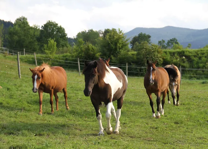 Bed & Breakfast Smartmotel 3*