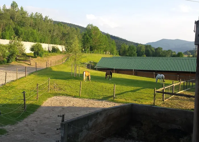 Smartmotel Bed & Breakfast Strass im Attergau