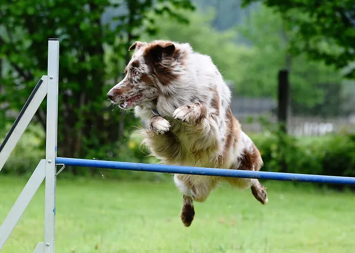 Alojamento de Acomodação e Pequeno-almoço Smartmotel 3*