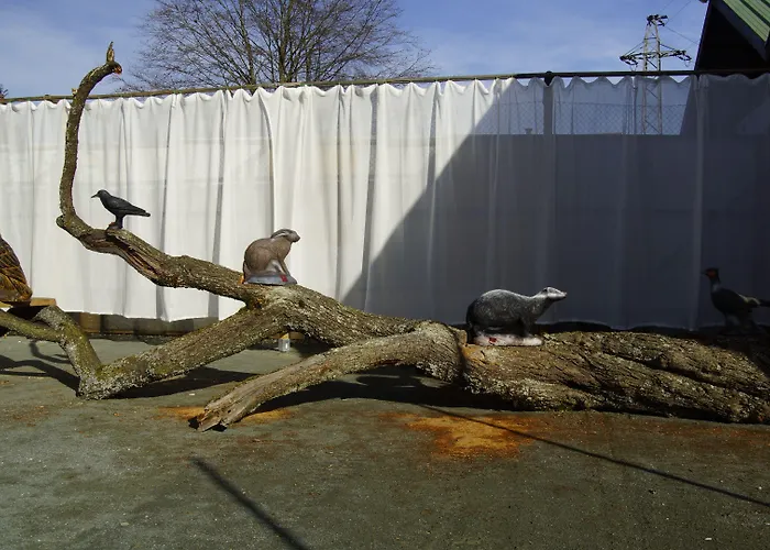 Smartmotel Alojamento de Acomodação e Pequeno-almoço Strass im Attergau