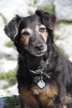 Alojamento de Acomodação e Pequeno-almoço Smartmotel